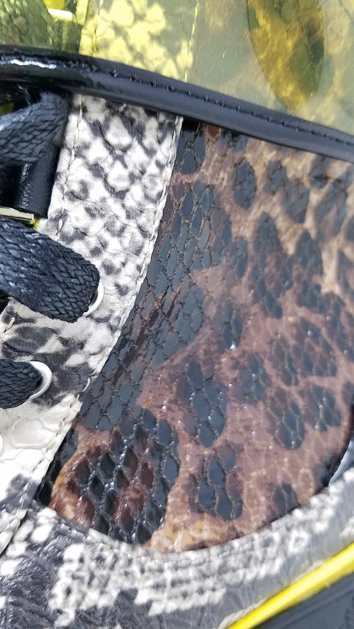 FUTURE WAVE - LEOPARD - Image 4